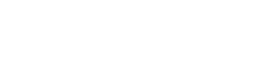 Perplexity